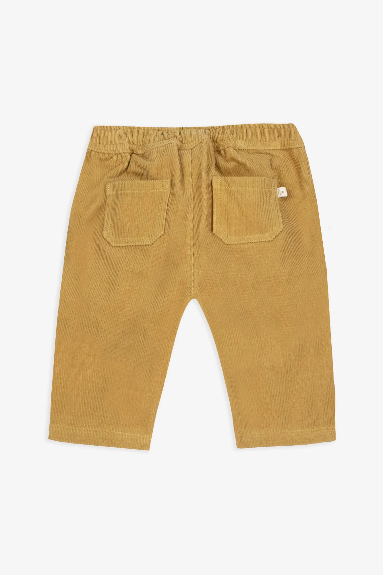 Pantalon - Popeye Jaune Lenon Velours - Image 3