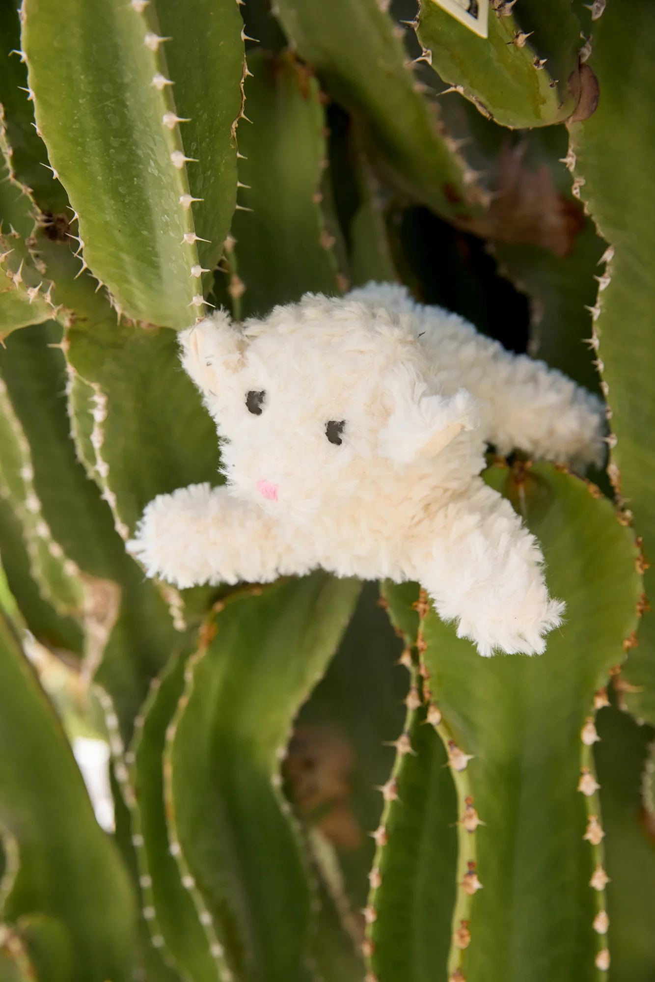 Peluche - Mouton Billie - Image 4